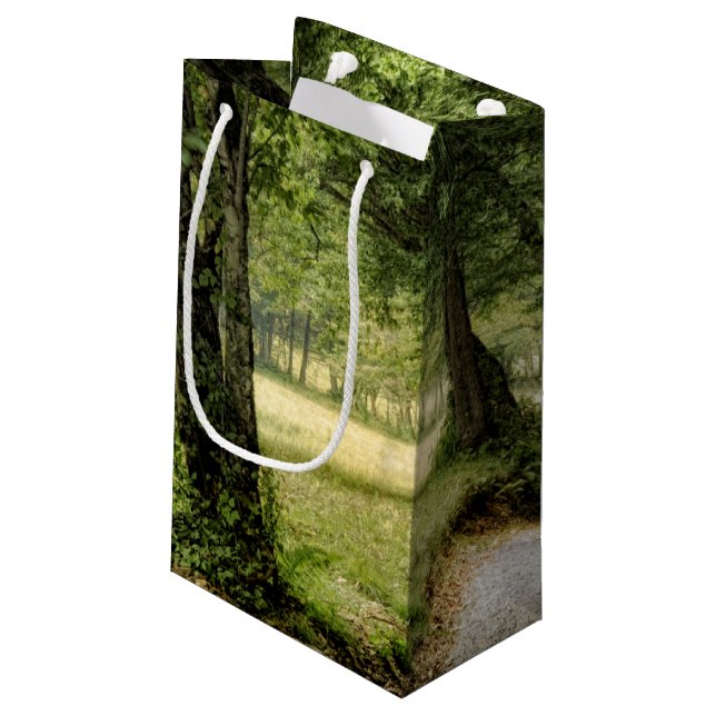 Petit Sac Cadeau Chemin dans le pays (Dos Angle)