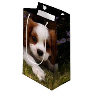 Petit Sac Cadeau Chiot cavalier d'épagneul du Roi Charles derrièr