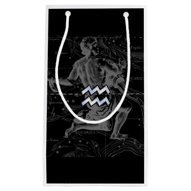 Petit Sac Cadeau Chrome comme Aquarius Zodiac Connexion Hevelius 16 (Devant)