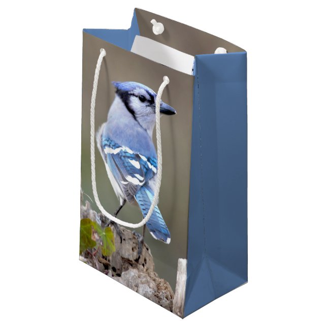 Petit Sac Cadeau Cute Bleu Jay Songbird sur Treestump (Devant Angle)
