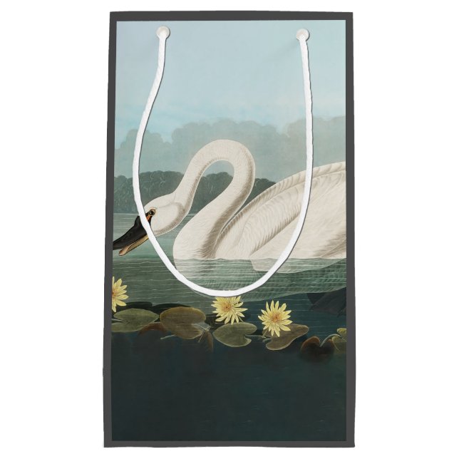 Petit Sac Cadeau cygne audubon cygnes d'eau blanche (Devant)