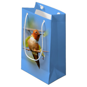 Petit Sac Cadeau Étonnant colibri roux au soleil