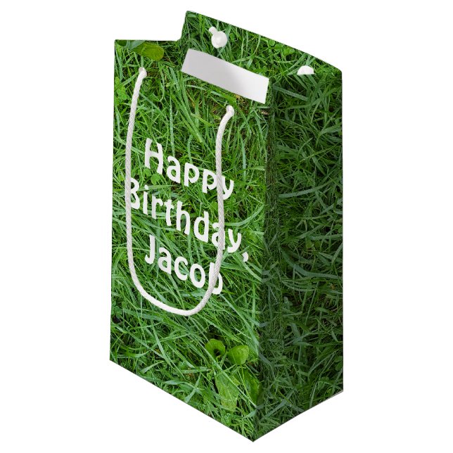 Petit Sac Cadeau fête de soie d'herbe verte (Devant Angle)