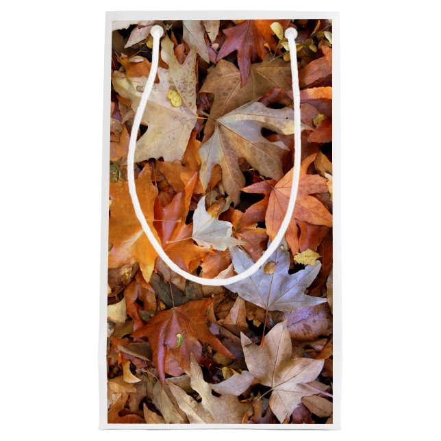 Petit Sac Cadeau Feuille d'automne (Devant)