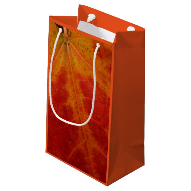 Petit Sac Cadeau Feuille d'érable rouge Abstraite Automne Photograp (Dos Angle)