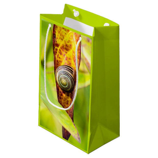 Petit Sac Cadeau fixation calme (Devant Angle)