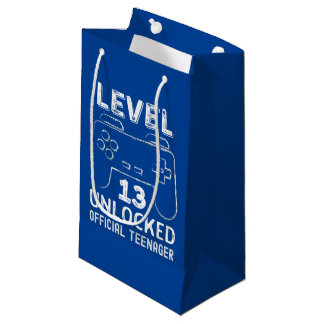 Petit Sac Cadeau Funny 13th birthday level 13 unlocked gamers