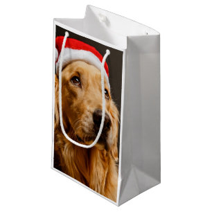 Petit Sac Cadeau Golden retriever posant pour son Noël
