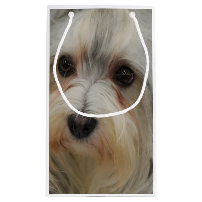 Petit Sac Cadeau Havanese (Dos)