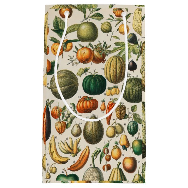 Petit Sac Cadeau Illustration scientifique végétale des fruits (Devant)