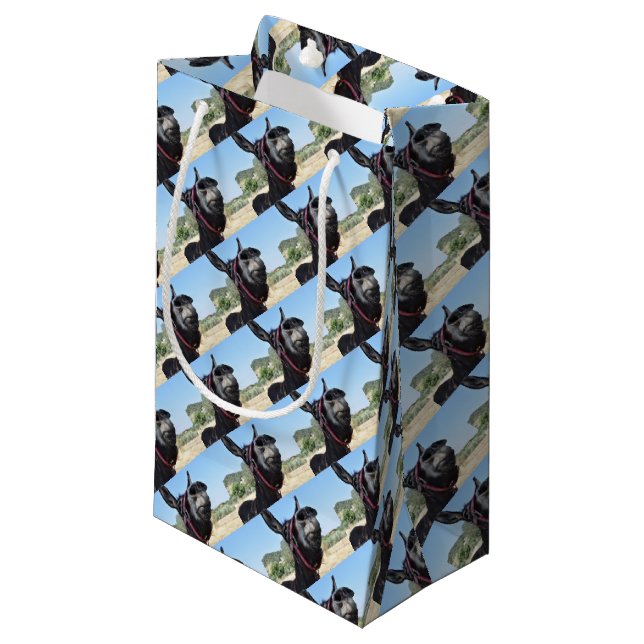 Petit Sac Cadeau J'aime des ânes ! (Devant Angle)
