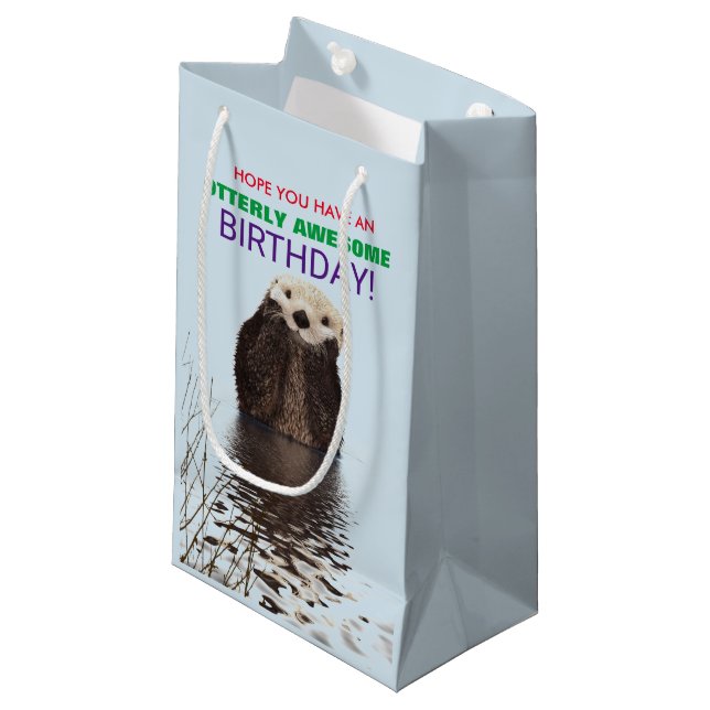 Petit Sac Cadeau J'espère que vous avez un anniversaire absolument  (Devant Angle)