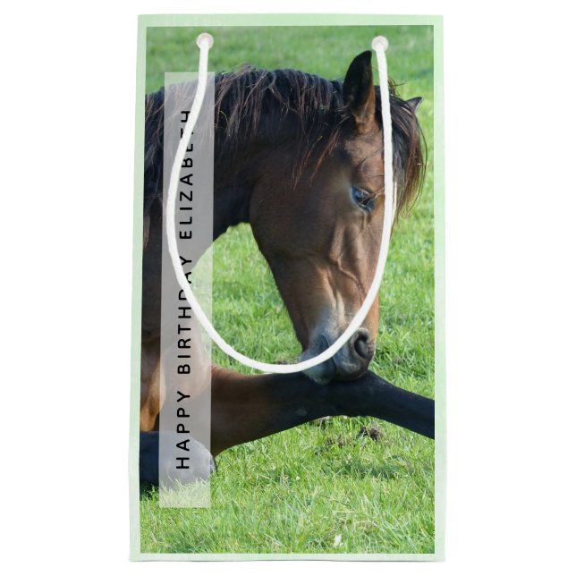 Petit Sac Cadeau Joli Cheval Brown allongé dans l'herbe Anniversair (Devant)