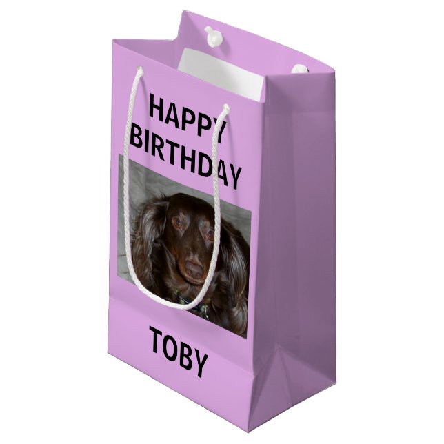 Petit Sac Cadeau Joyeux Anniversaire À Mon Chien Bébé (Devant Angle)