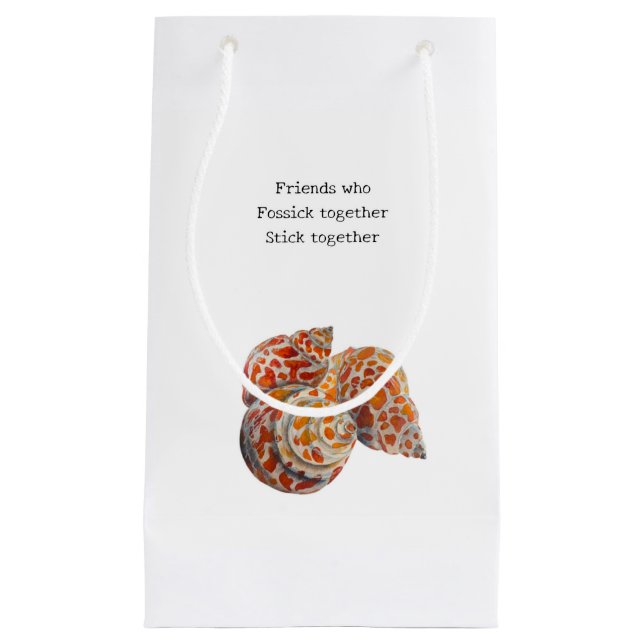 Petit Sac Cadeau Les amis qui se trompent (Devant)
