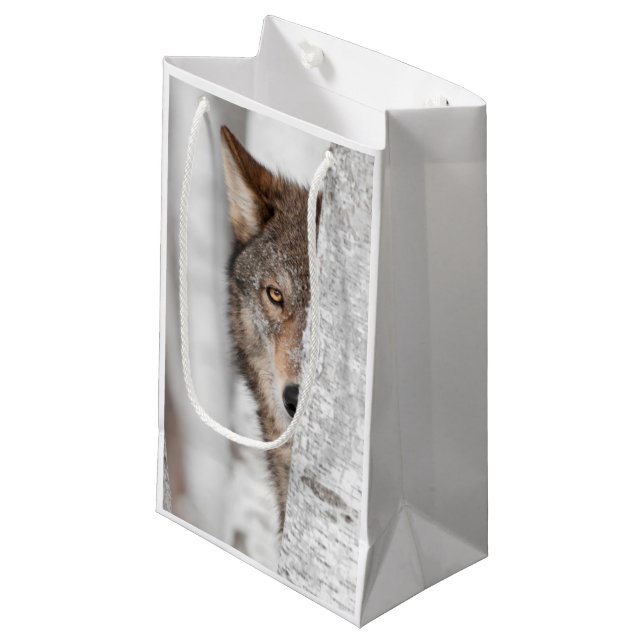 Petit Sac Cadeau Loup gris (lupus de Canis) derrière l'arbre (Devant Angle)