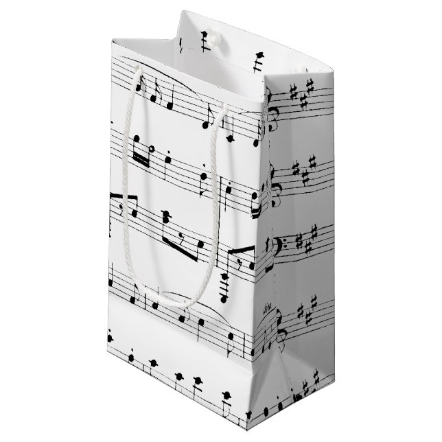 Petit Sac Cadeau Musique en feuille blanche (Devant Angle)
