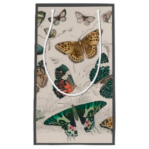 Petit Sac Cadeau Papillons Collection Antique Papillons