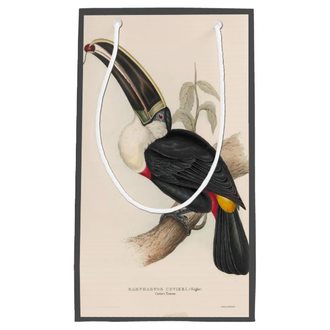 Petit Sac Cadeau Peinture animalière d'antiquités Toucans (Devant)