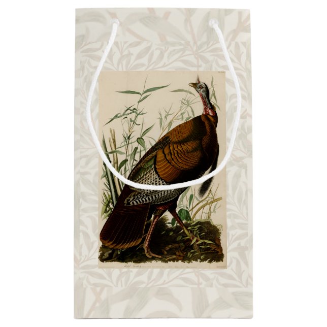 Petit Sac Cadeau Peinture d'oiseaux sauvages de Turquie Audubon (Dos)