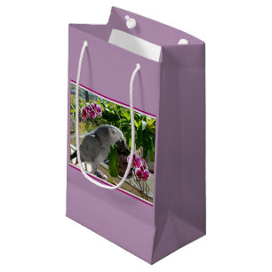 Petit Sac Cadeau Perroquet gris africain aux orchidées