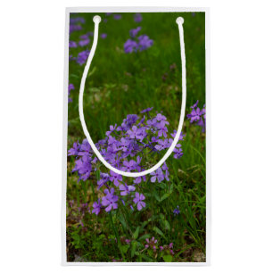Petit Sac Cadeau Phlox Bleu Sauvage