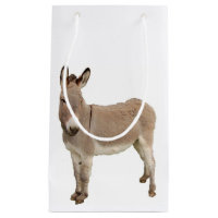 Photo de Burro à Donkey Cute
