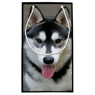 Petit Sac Cadeau Photographie de chien de Malamute d'Alaska