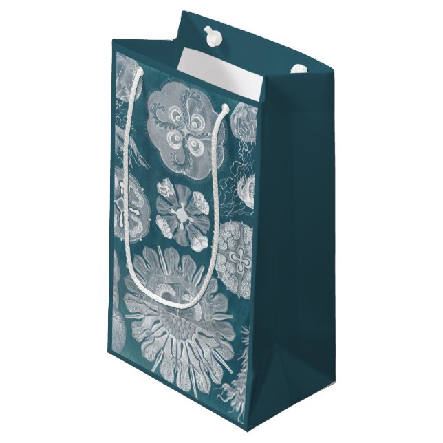 Petit Sac Cadeau Plan directeur de la vie marine IV (Devant Angle)
