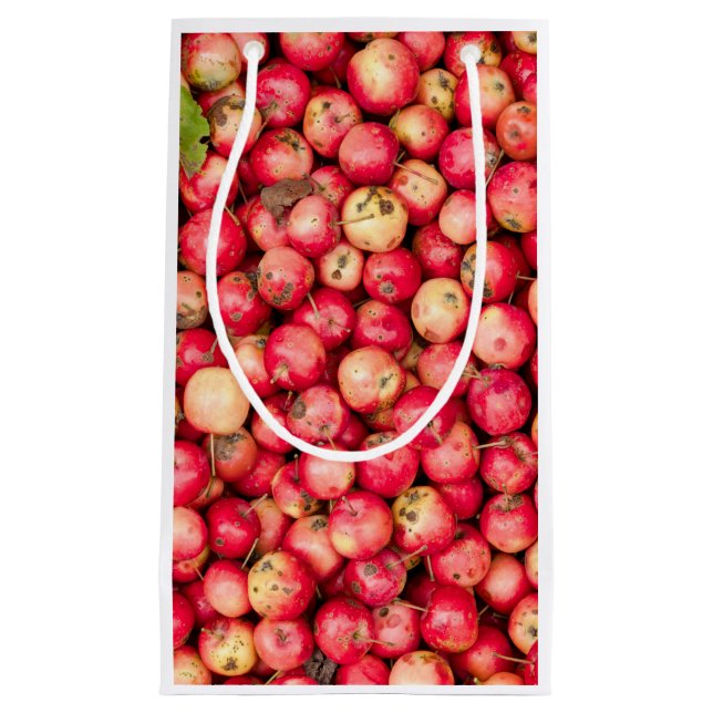 Petit Sac Cadeau Pommes biologiques (Devant)