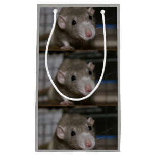 Petit Sac Cadeau Rat curieux