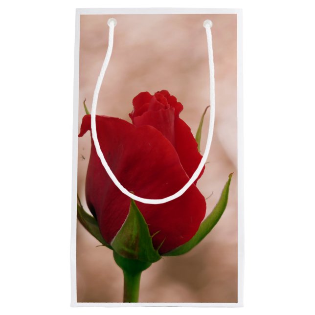 Petit Sac Cadeau Rose rouge simple (Devant)