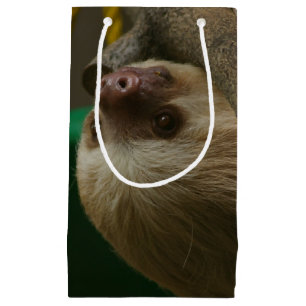 Petit Sac Cadeau Sloth
