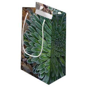 Petit Sac Cadeau Succulent plante du désert