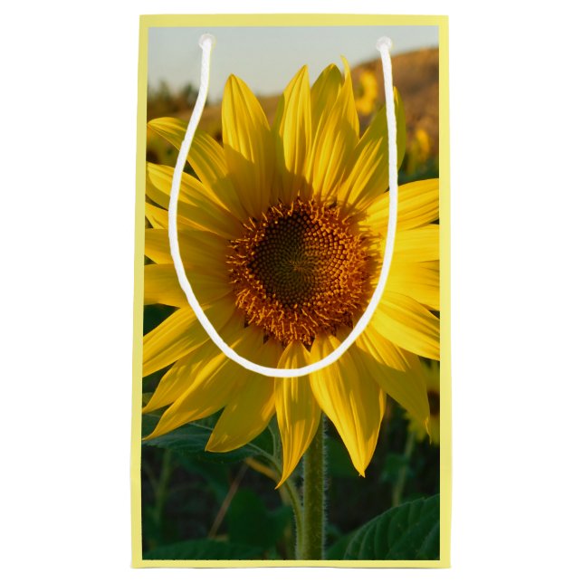 Petit Sac Cadeau Sunflower or (Devant)