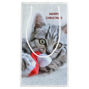Petit Sac Cadeau Tabby gris mou Chat avec Noël Casquette