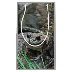Petit Sac Cadeau Une grenouille heureuse