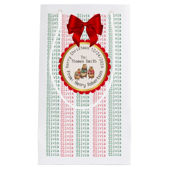 PETIT SAC CADEAU XMAS GIFT BAG (Devant)