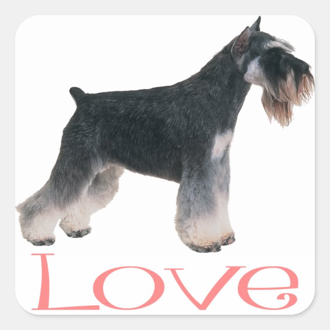 Petit Schnauzer Chien Chien Chien rose Sticker d'A (Devant)