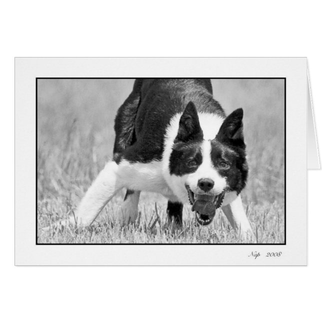 Petit somme (Devant horizontal)