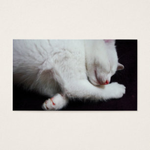 PETIT SOMME DE KITTY