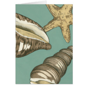 Petit trio Shell Turquoise