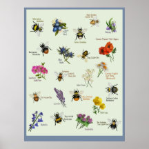 PetitArt | Britische Biene & Wilde Blume