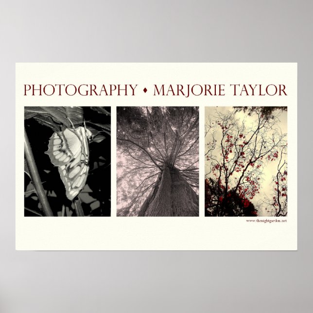 Petite affiche (22,5 x 15 po) (Devant)