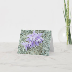 Petite Carte de remerciements pliée de 4 po x 5,6
