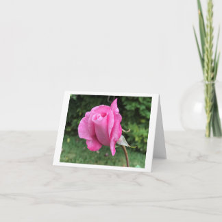 Petite carte de voeux pliée de 4 po x 5,6 po