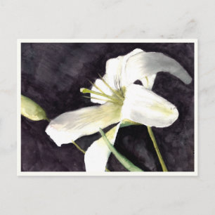 Petite carte postale 4,25 po x 5,6 po