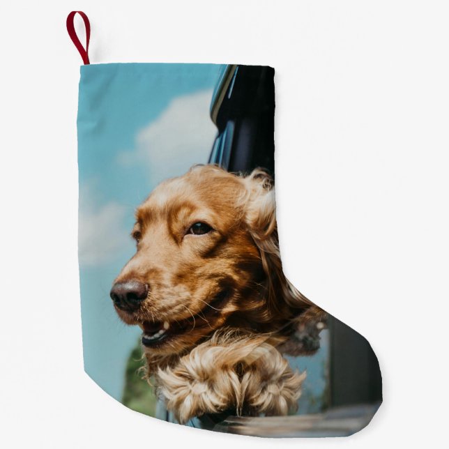 Petite Chaussette De Noël Add Your Custom Photo Dog Pets  (Devant)