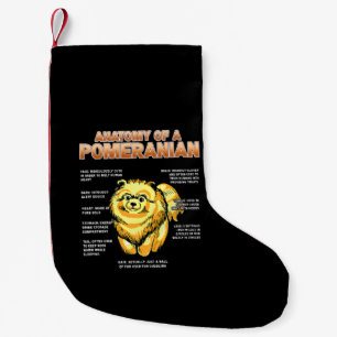 Petite Chaussette De Noël Anatomie d'un Poméranien