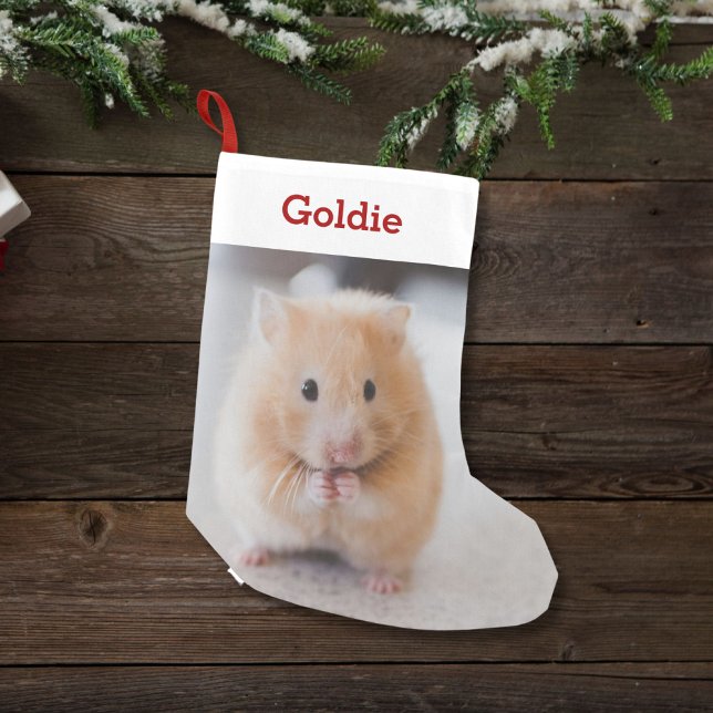 Petite Chaussette De Noël Animaux de compagnie Hamster Lover Photo & Nom Per (Créateur téléchargé)